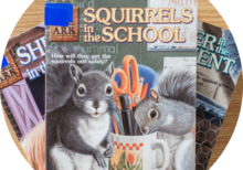 Squirrel in The Schooll By Nimal Malhothra